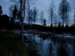 dsc00009.jpg