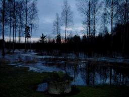 dsc00010.jpg