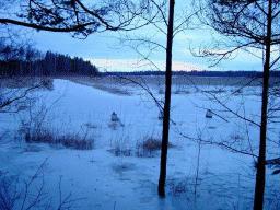 dsc00019.jpg