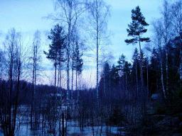 dsc00020.jpg