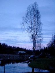 dsc00024.jpg