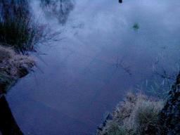 dsc00028.jpg