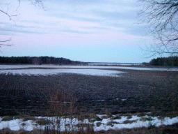 dsc00032.jpg