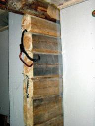 dsc00010.jpg