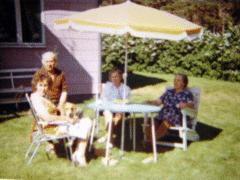 dsc00050.jpg