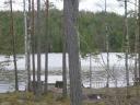 dsc00012.jpg