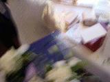 dsc00099.jpg