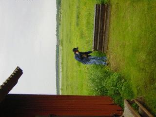 dsc00013.jpg