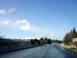 dsc00017.jpg
