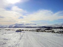 dsc00005.jpg