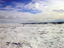 dsc00006.jpg