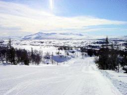 dsc00008.jpg