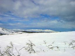 dsc00010.jpg