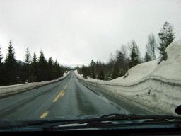 dsc00029.jpg