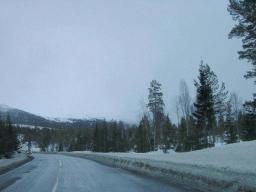 dsc00030.jpg