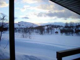 dsc00037.jpg