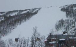 dsc00008.jpg