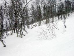 dsc00001.jpg