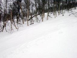 dsc00002.jpg