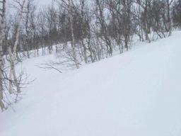 dsc00003.jpg