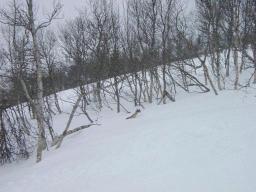dsc00005.jpg