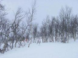 dsc00006.jpg
