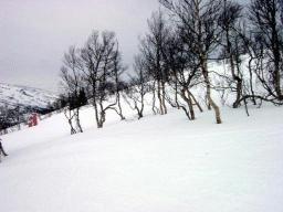 dsc00007.jpg