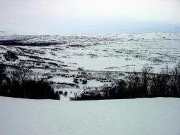 dsc00013.jpg