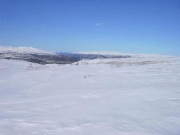 dsc00008.jpg