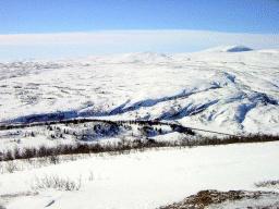 dsc00015.jpg