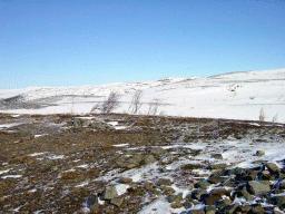 dsc00019.jpg