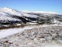 dsc00028.jpg