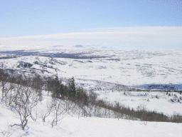 dsc00029.jpg
