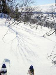 dsc00030.jpg