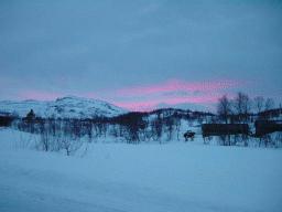 dsc00100.jpg