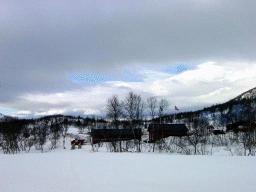 dsc00010.jpg