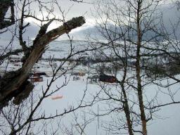 dsc00011.jpg