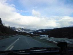 dsc00021.jpg