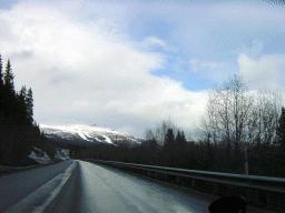 dsc00022.jpg