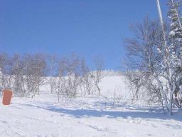 dsc00010.jpg