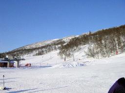 dsc00017.jpg