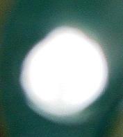 dsc00002.jpg