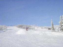 dsc00013.jpg