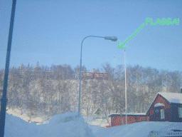 dsc00017.jpg