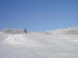 dsc00029.jpg