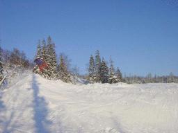 dsc00038.jpg