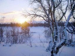 dsc00048.jpg