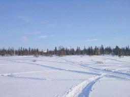 dsc00036.jpg