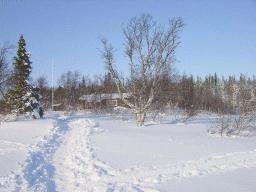 dsc00037.jpg