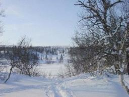 dsc00068.jpg